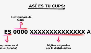 Cups