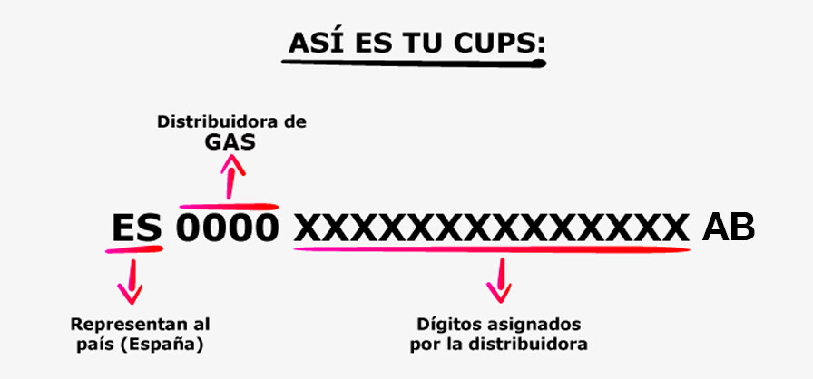 Cups